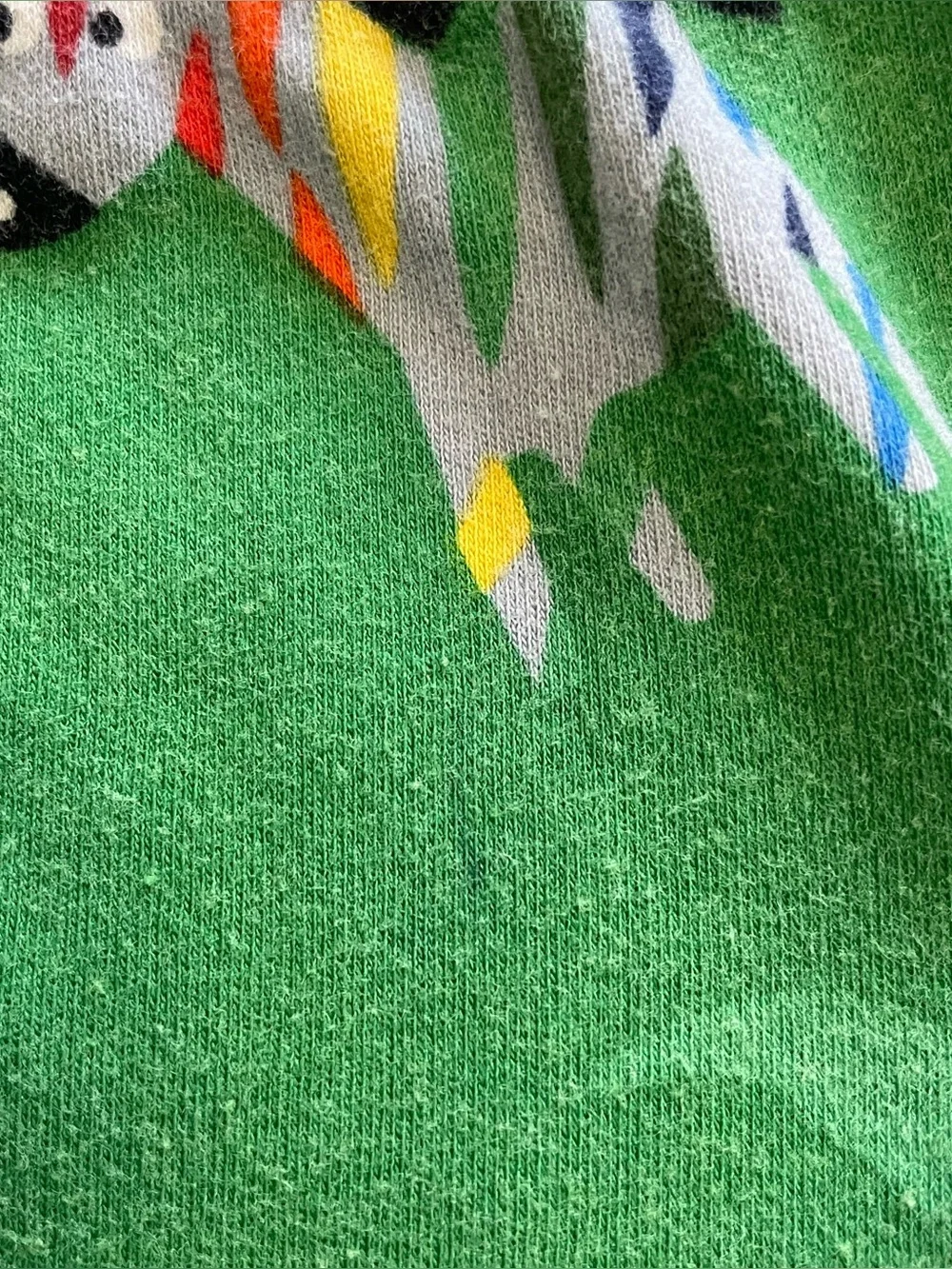 Next Green Zebra Long Pajama Set